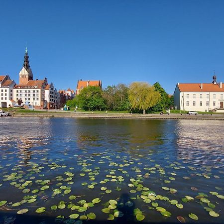 Stare Miasto Kwiaty Elbląg Eksteriør billede